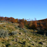 IMG_8210.JPG