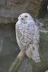DSC_0008-1.JPG