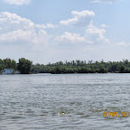 IMG_4270.JPG