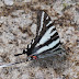 P1290984