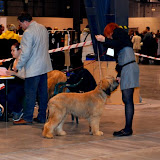 Abi - DSC_0066.JPG