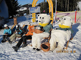 2012-01-03-016.jpg