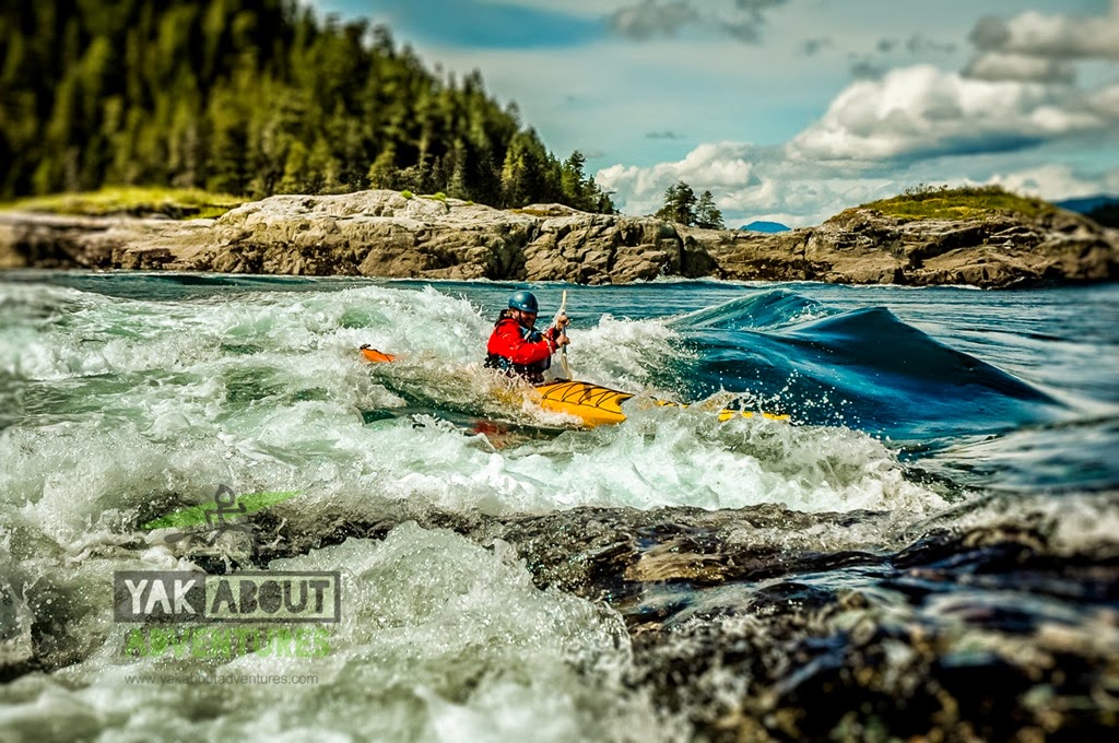 [%2528c%2529Worldwildadventures-3716%255B4%255D.jpg]