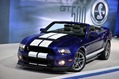 Shelby-Caroll-9