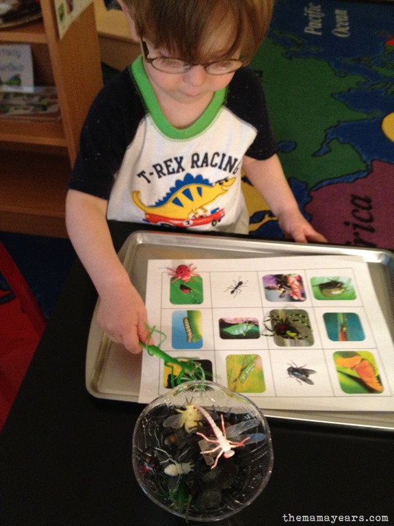 [5.13.13-tot-school-bugs144.jpg]