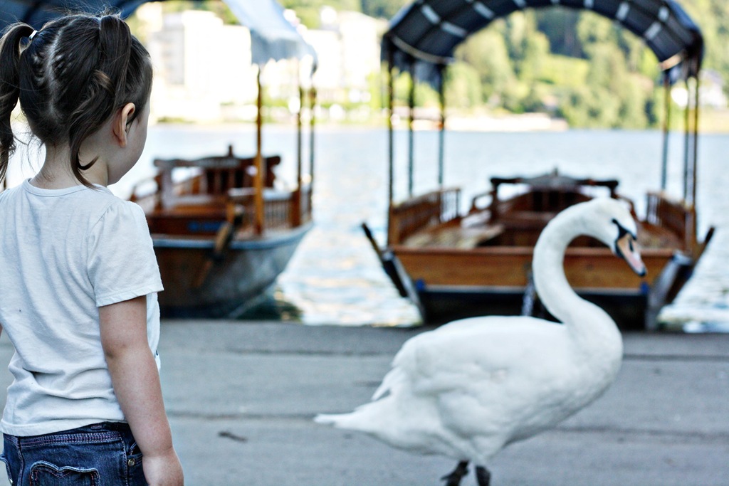 [Slovenia%252041%255B5%255D.jpg]