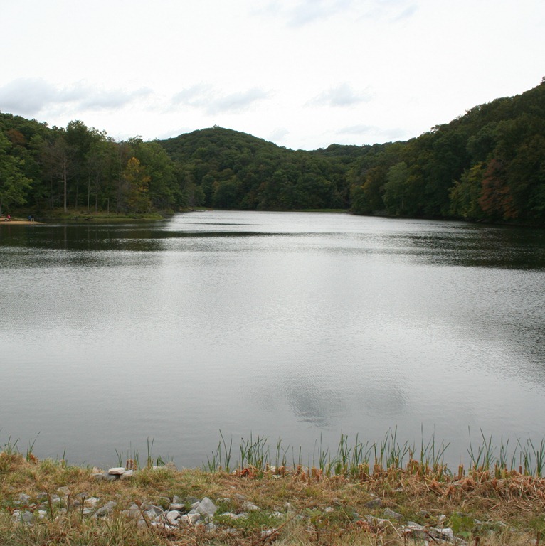 [0035.jpg]