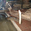 Reptile museum