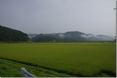 IMGP8648 IMGP8648