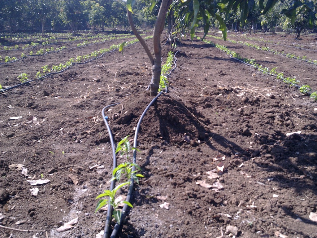 [07012011138%255B4%255D.jpg]