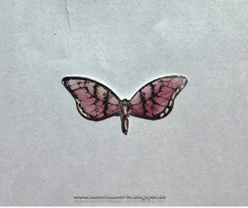 3D-Schmetterling4-fertig 3D-Schmetterling4-fertig