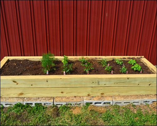 planted herb garden planted herb garden