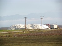 IMG_1716 IMG_1716