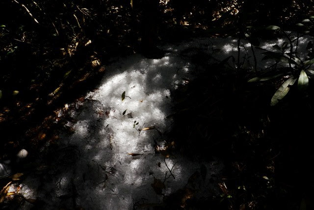 2013_0130-0131 復興雙障-嘎拉賀上唐穗山連走稜山_120 2013_0130-0131 復興雙障-嘎拉賀上唐穗山連走稜山_120