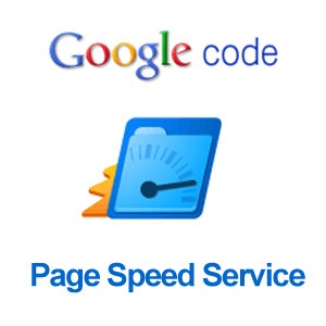 [google-page-speed-service%255B4%255D.jpg]