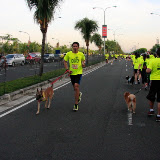 Pet Express Doggie Run 2012 Philippines. Jpg (60).JPG