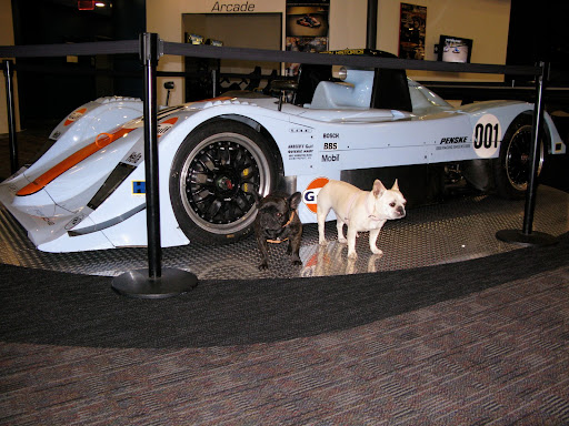 Wouldn't this car be useful for a good old squirrel chase?