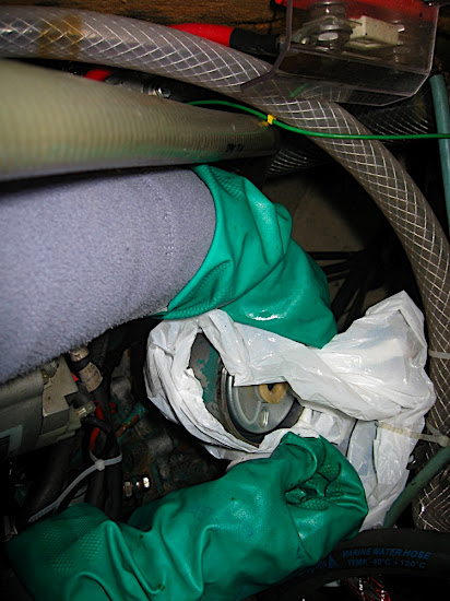 Julie har plastpåse under finfiltret för att fånga upp dieseln som läcker ur när finfiltret öppnas.