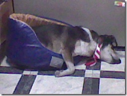 Imag034 Imag034
