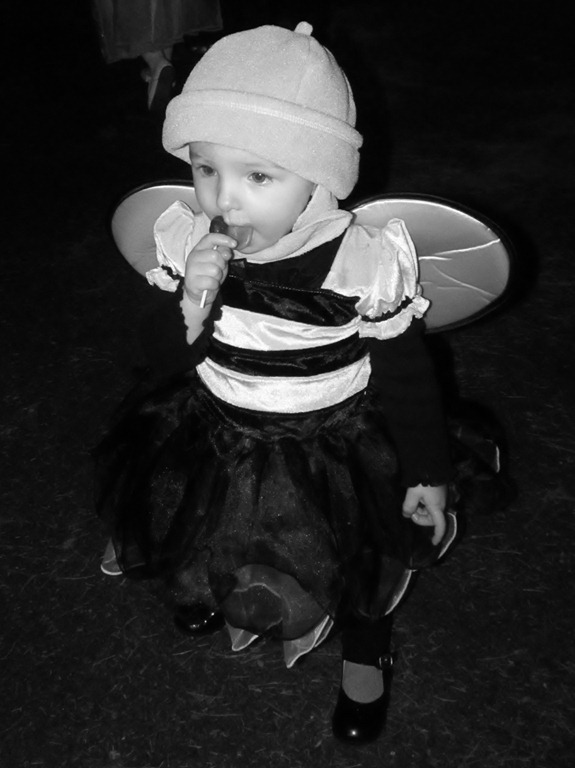 [IMG_5111%255B4%255D.jpg]