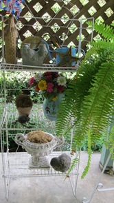 [IMG_0814%255B4%255D.jpg]