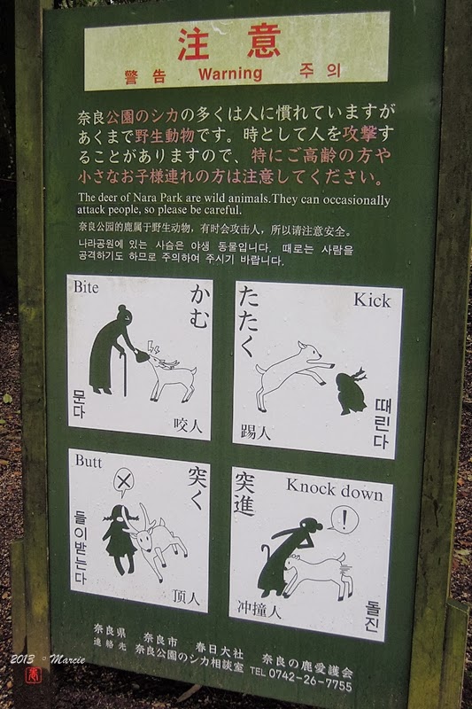 奈良 春日大社&奈良公園(なら)