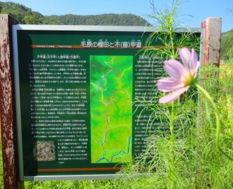 DSC00056 DSC00056