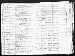 1816-Freedom Charters-Page 7-Amy McNobney (Medium)