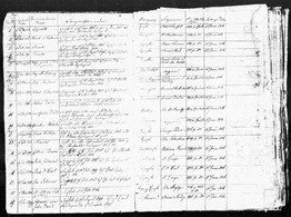 1816-Freedom Charters-Page 7-Amy McNobney (Medium) 1816-Freedom Charters-Page 7-Amy McNobney (Medium)