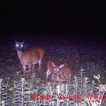 MDGC0245.JPG