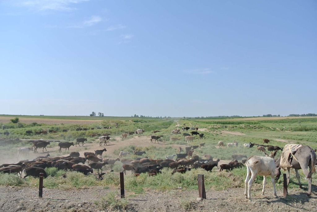 [DSC_6292%255B4%255D.jpg]