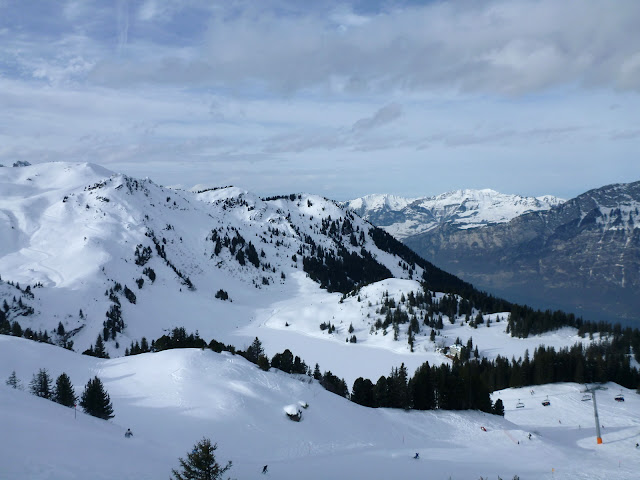 P1000764.JPG