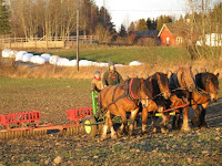 maind794.jpg