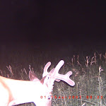 ICAM0067.JPG