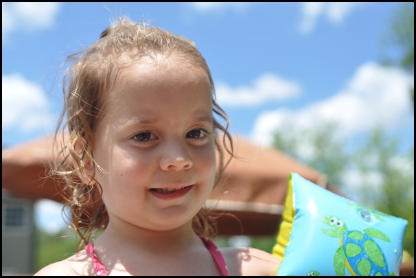 DSC_0392 DSC_0392