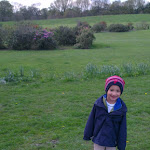IMAG0056.jpg