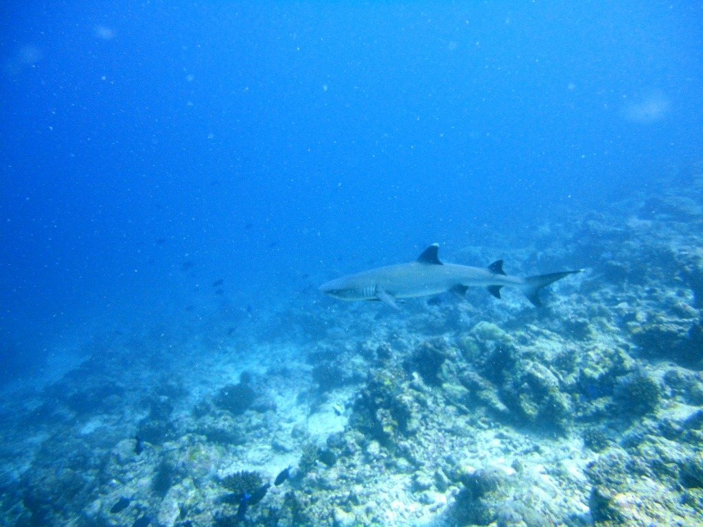 [DSC02959%255B8%255D.jpg]