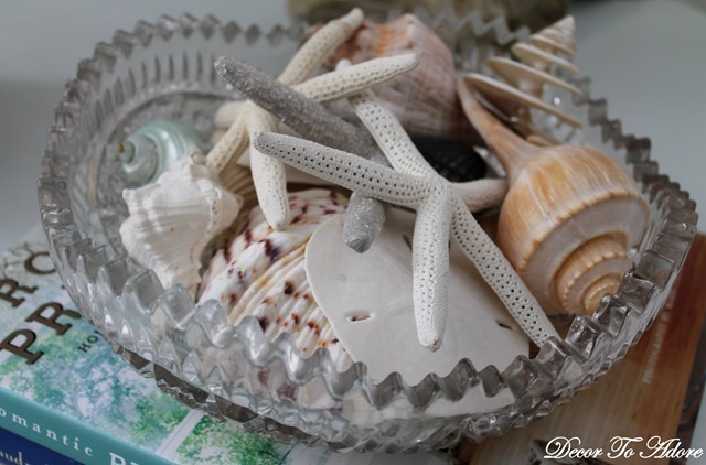 seashells 026