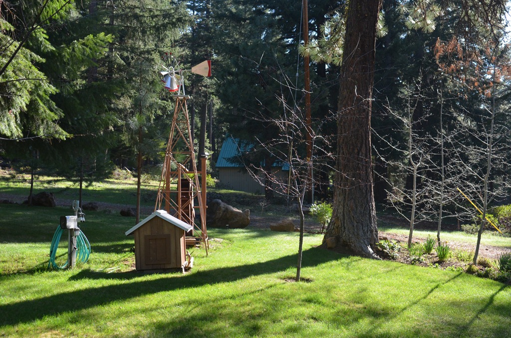 [April%2520morning%2520%252811%2529%255B4%255D.jpg]