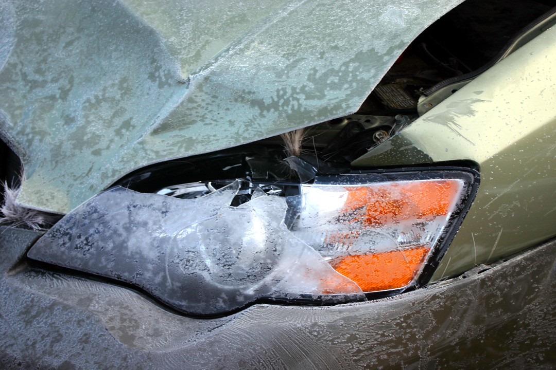 [deer%2520collision%252003%255B3%255D.jpg]