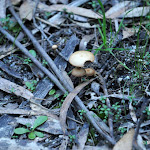 DSC_9889.JPG