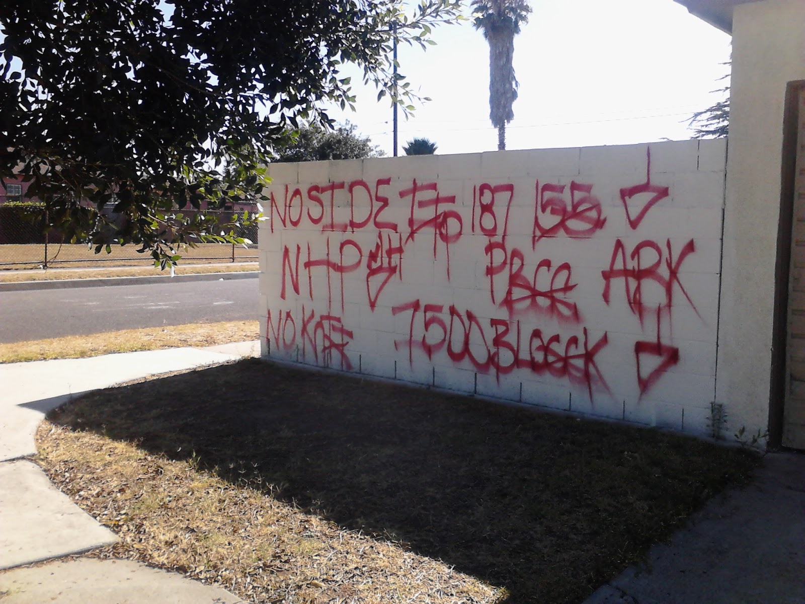 blood piru brims gangs graffiti neighborhood piru