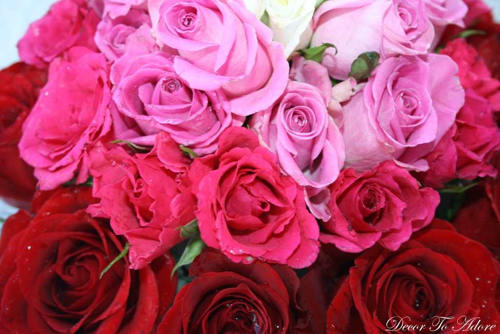 [flowers%2520018%255B3%255D.jpg]