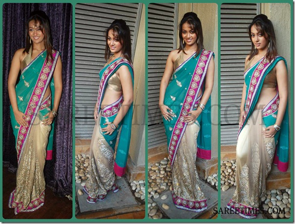 Dual_Color_Saree