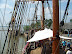 Jamestown Settlement in May