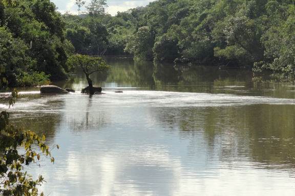 Le Rio Tapaiuna, affluent du Teles Pires. Nova Canaã do Norte, au nord-ouest de Colider (Mato Grosso, Brésil), mai 2011. Photo : Cidinha Rissi