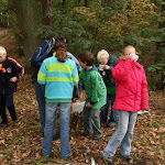 IMG_4463.JPG