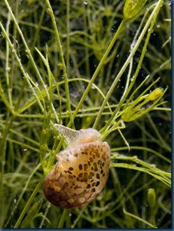 IMG_6803 IMG_6803