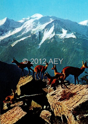 aa135 img133