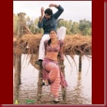 Chatrapathi Stills - 37_t